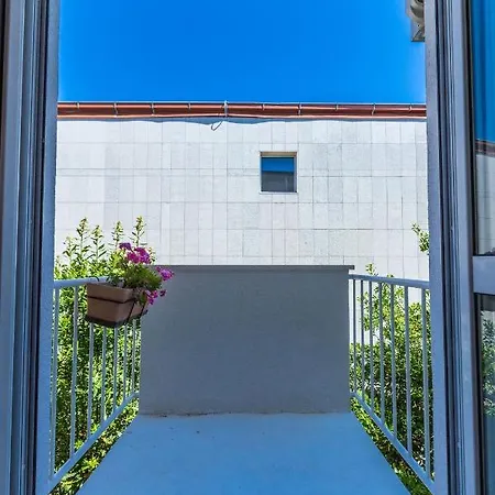 Calle Larga Ventidue * Ζαντάρ